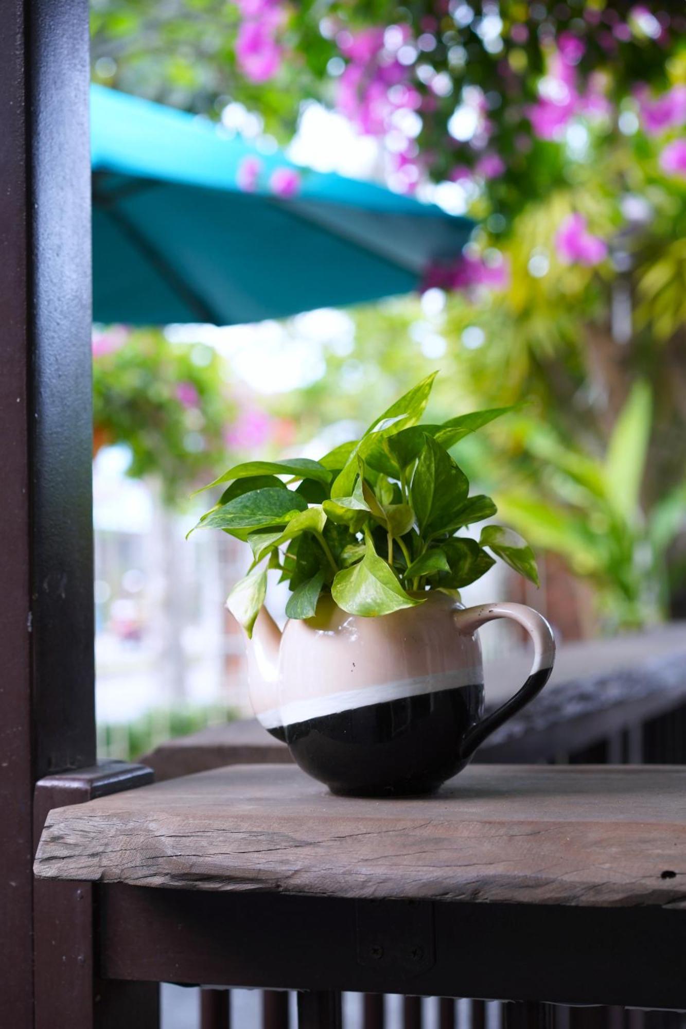 Blooms Boutique Village Hoi An Dış mekan fotoğraf
