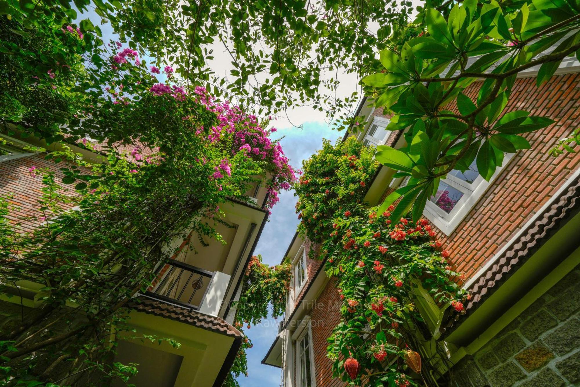 Blooms Boutique Village Hoi An Dış mekan fotoğraf